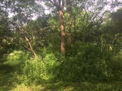 Lot 2 Hwy D Colfax, WI 54730