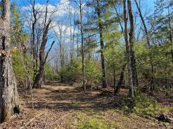 Lot 3 Maria's Way Webster, WI 54893