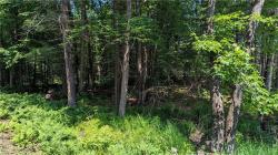Lot 1 165Th Ave Bloomer, WI 54724