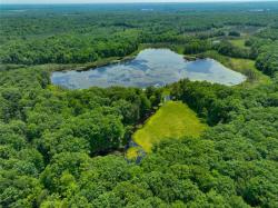 62.59 Acres 290Th Holcombe, WI 54745
