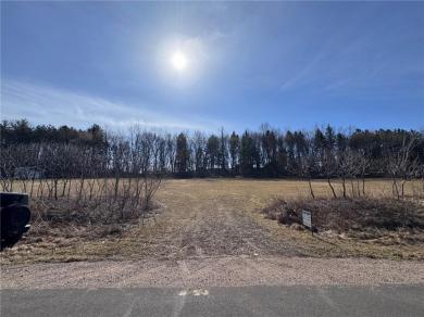 Lot 2 County Rd D Holcombe, WI 54745