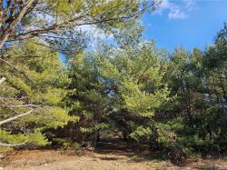 Lot 1 County Road Ff Webster, WI 54893