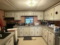 113 Redfin Road Scottsville, KY 42164