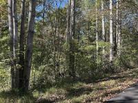 Lot 47A Walleye Way Scottsville, KY