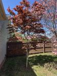 52 Lone Oak Drive Scottsville, KY 42164