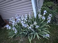 52 Lone Oak Drive Scottsville, KY 42164