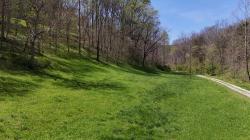 147 Big Creek Rd Pleasant Shade, TN 37145