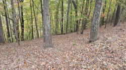 3 Savannah Dr Smithville, TN 37166