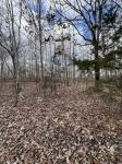 0 Cheyenne Cir Beechgrove, TN 37018