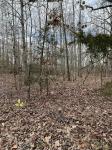 0 Cheyenne Cir Beechgrove, TN 37018