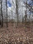 0 Cheyenne Cir Beechgrove, TN 37018