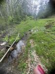 419 Tillman Hollow Rd Wartrace, TN 37183