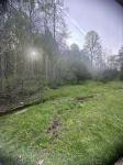 419 Tillman Hollow Rd Wartrace, TN 37183