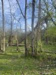 419 Tillman Hollow Rd Wartrace, TN 37183