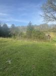 419 Tillman Hollow Rd Wartrace, TN 37183