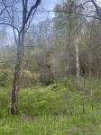 419 Tillman Hollow Rd Wartrace, TN 37183