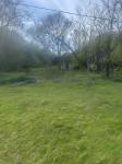 419 Tillman Hollow Rd Wartrace, TN 37183