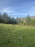 419 Tillman Hollow Rd Wartrace, TN 37183
