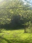 419 Tillman Hollow Rd Wartrace, TN 37183
