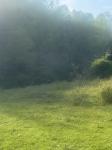419 Tillman Hollow Rd Wartrace, TN 37183