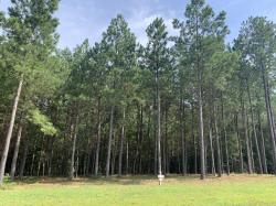 5140 Crockett Point Jasper, TN 37347