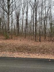 0 Clear Brooks Drive Signal Mountain, TN 37377