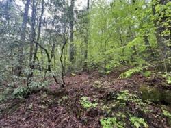 139 Bear Den Trl Grandview, TN 37337