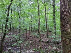 0 Sherwood Road Sherwood, TN 37376