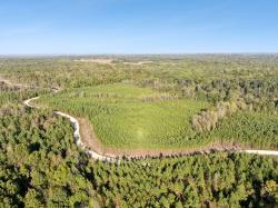 0 Cox Hollow Rd Dover, TN 37058