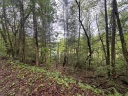 153 Bear Den Trl Grandview, TN 37337