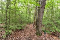 314 Deer Lick Trl Monteagle, TN 37356