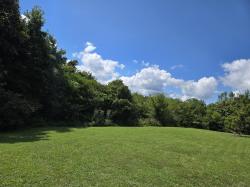 9 Dickens Hill Rd Bradyville, TN 37026