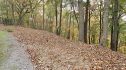 4 Savannah Dr Smithville, TN 37166
