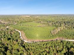 0 Cox Hollow Rd Dover, TN 37058