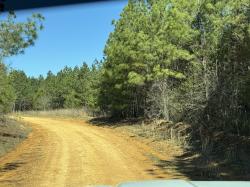 0 Old Mail Road Duck River, TN 38454