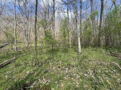 0 Lake View Drive Smithville, TN 37166