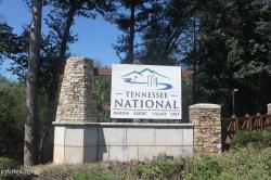 238 Buckhorn Way Loudon, TN 37774