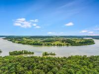 238 Buckhorn Way Loudon, TN 37774