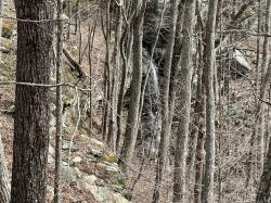 4441 Deer Run Road Altamont, TN 37301