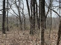4441 Deer Run Road Altamont, TN 37301