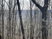 4441 Deer Run Road Altamont, TN 37301