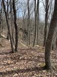 4441 Deer Run Road Altamont, TN 37301