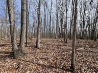 4441 Deer Run Road Altamont, TN 37301