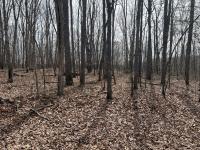 4441 Deer Run Road Altamont, TN 37301