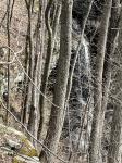 4441 Deer Run Road Altamont, TN 37301