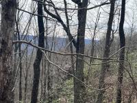 4441 Deer Run Road Altamont, TN 37301