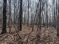 4441 Deer Run Road Altamont, TN 37301