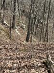 4441 Deer Run Road Altamont, TN 37301