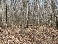 4441 Deer Run Road Altamont, TN 37301
