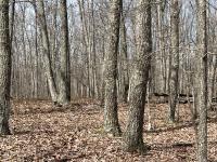 4441 Deer Run Road Altamont, TN 37301